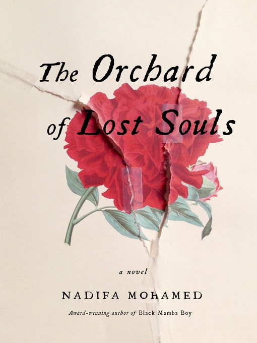 Title details for The Orchard of Lost Souls by Nadifa Mohamed - Wait list